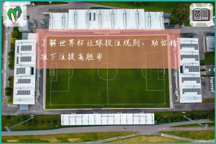 了解世界杯让球投注规则，助你精准下注提高胜率