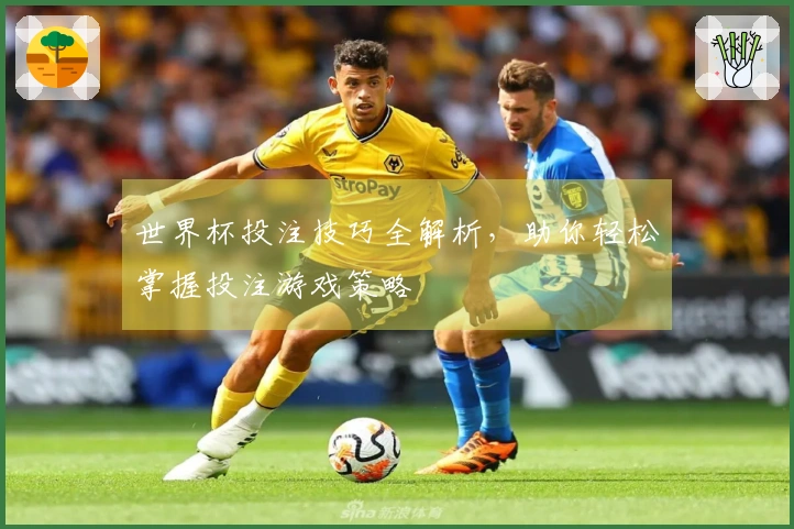 世界杯投注技巧全解析，助你轻松掌握投注游戏策略