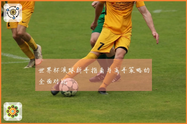 世界杯滚球新手指南与高手策略的全面对比