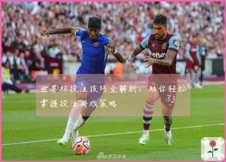 世界杯投注技巧全解析，助你轻松掌握投注游戏策略