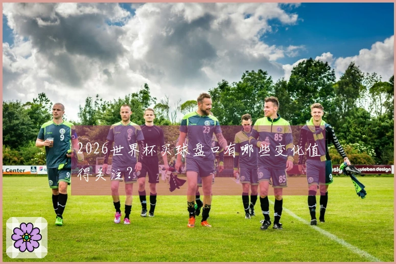2026世界杯买球盘口有哪些变化值得关注？