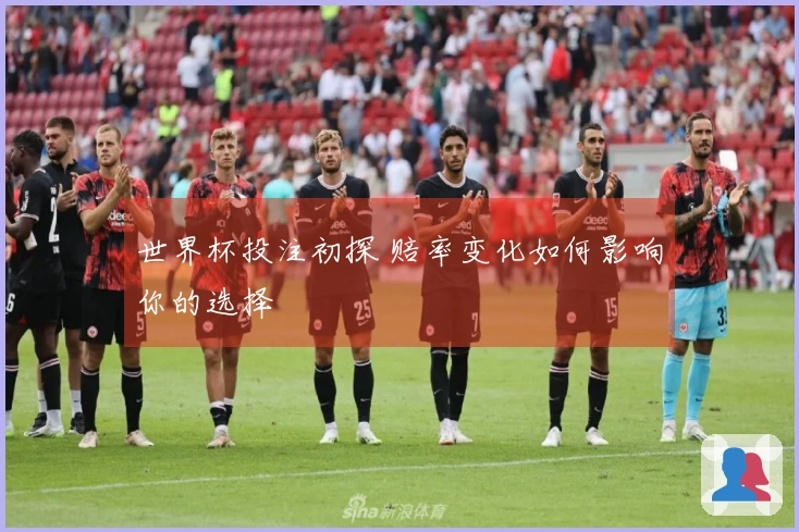 世界杯投注初探 赔率变化如何影响你的选择